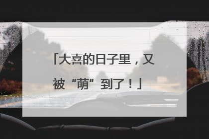 大喜的日子里，又被“萌”到了！