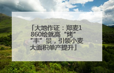 大地作证：郑麦1860绘就高“烤”“丰”景，引领小麦大面积单产提升