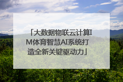 大数据物联云计算IM体育智慧AI系统打造全新关键驱动力