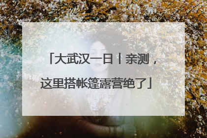 大武汉一日丨亲测，这里搭帐篷露营绝了