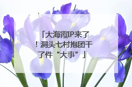 大海霞IP来了！洞头七村抱团干了件“大事”