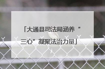 大通县司法局涵养“三心”凝聚法治力量