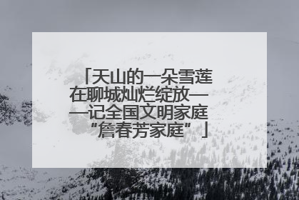 天山的一朵雪莲在聊城灿烂绽放——记全国文明家庭“詹春芳家庭”