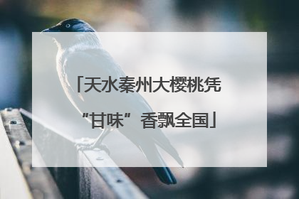 天水秦州大樱桃凭“甘味”香飘全国