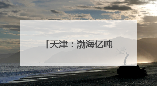 天津：渤海亿吨级油田海上平台陆地建造工作收官