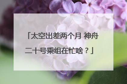 太空出差两个月 神舟二十号乘组在忙啥？