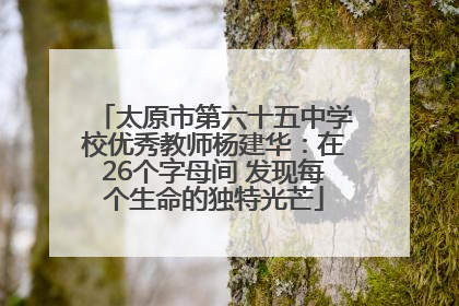 太原市第六十五中学校优秀教师杨建华：在26个字母间 发现每个生命的独特光芒