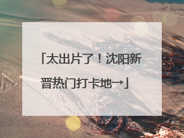 太出片了！沈阳新晋热门打卡地→