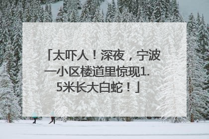 太吓人！深夜，宁波一小区楼道里惊现1.5米长大白蛇！