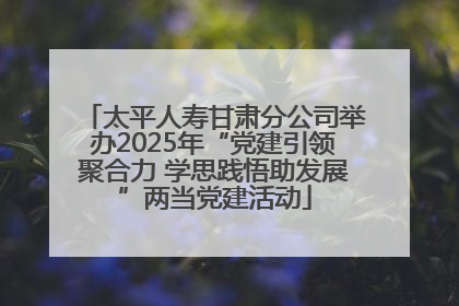 太平人寿甘肃分公司举办2025年“党建引领聚合力 学思践悟助发展”两当党建活动