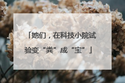 她们，在科技小院试验变“粪”成“宝”