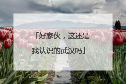 好家伙，这还是我认识的武汉吗