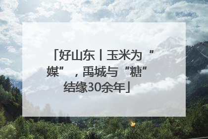好山东丨玉米为“媒”，禹城与“糖”结缘30余年