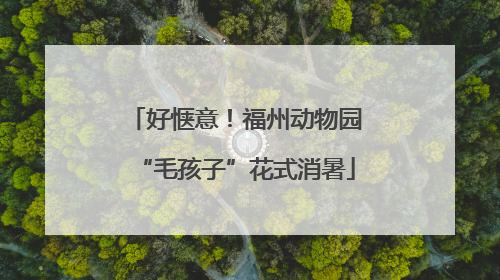 好惬意！福州动物园“毛孩子”花式消暑