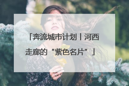 奔流城市计划丨河西走廊的“紫色名片”
