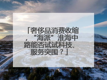 奢侈品消费收缩，“海派”淮海中路能否试试科技、服务突围？