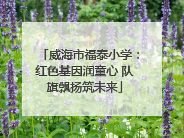 威海市福泰小学：红色基因润童心 队旗飘扬筑未来