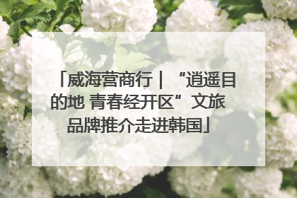 威海营商行｜“逍遥目的地 青春经开区”文旅品牌推介走进韩国