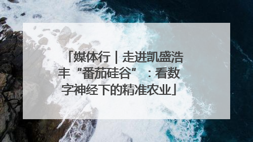 媒体行｜走进凯盛浩丰“番茄硅谷”：看数字神经下的精准农业