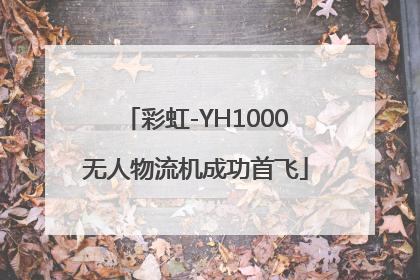 彩虹-YH1000无人物流机成功首飞