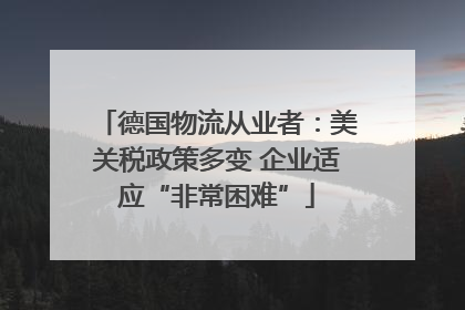 德国物流从业者：美关税政策多变 企业适应“非常困难”