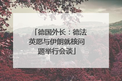 德国外长：德法英愿与伊朗就核问题举行会谈