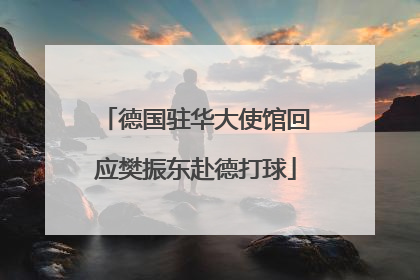 德国驻华大使馆回应樊振东赴德打球