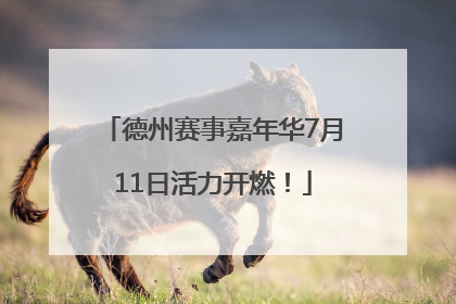 德州赛事嘉年华7月11日活力开燃！
