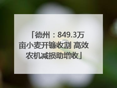 德州：849.3万亩小麦开镰收割 高效农机减损助增收