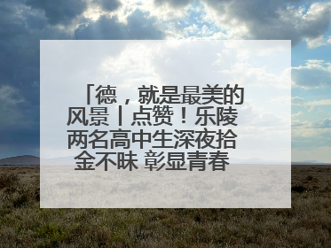 德，就是最美的风景丨点赞！乐陵两名高中生深夜拾金不昧 彰显青春正能量