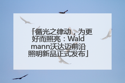 循光之律动，为更好而照亮：Waldmann沃达迈前沿照明新品正式发布