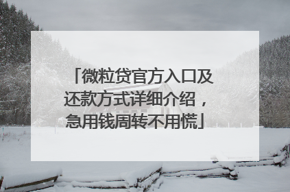 微粒贷官方入口及还款方式详细介绍，急用钱周转不用慌
