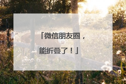 微信朋友圈，能折叠了！