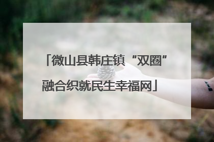 微山县韩庄镇“双圈”融合织就民生幸福网