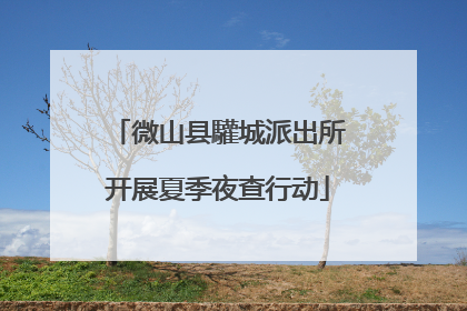 微山县驩城派出所开展夏季夜查行动