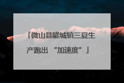 微山县驩城镇三夏生产跑出 “加速度”