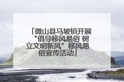 微山县马坡镇开展“倡导移风易俗 树立文明新风”移风易俗宣传活动