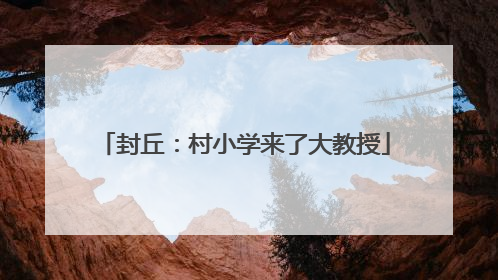 封丘：村小学来了大教授