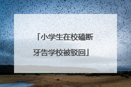 小学生在校磕断牙告学校被驳回