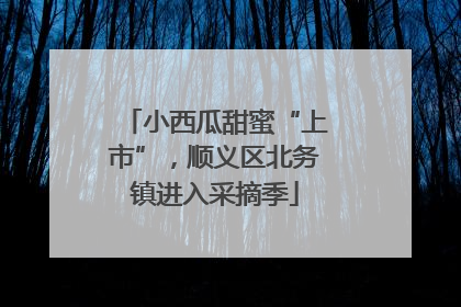 小西瓜甜蜜“上市”，顺义区北务镇进入采摘季