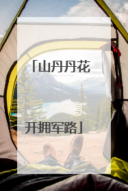 山丹丹花开拥军路