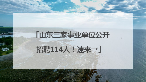 山东三家事业单位公开招聘114人！速来→