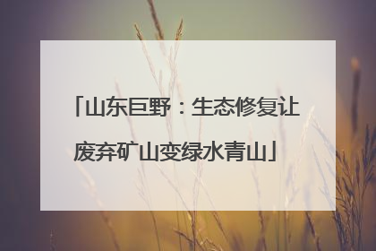 山东巨野：生态修复让废弃矿山变绿水青山