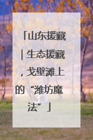 山东援藏｜生态援藏，戈壁滩上的“潍坊魔法”