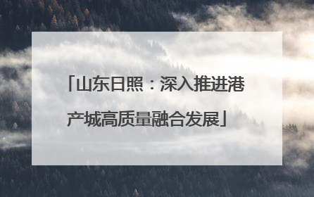 山东日照：深入推进港产城高质量融合发展