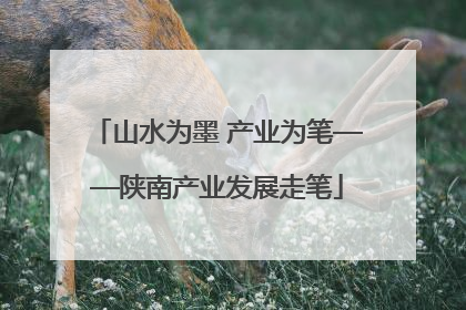 山水为墨 产业为笔——陕南产业发展走笔