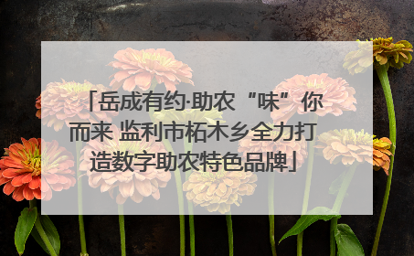 岳成有约·助农“味”你而来 监利市柘木乡全力打造数字助农特色品牌