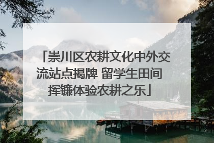 崇川区农耕文化中外交流站点揭牌 留学生田间挥镰体验农耕之乐