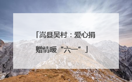 嵩县吴村：爱心捐赠情暖“六一”