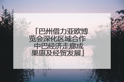 巴州借力亚欧博览会深化区域合作 中巴经济走廊成果惠及经贸发展